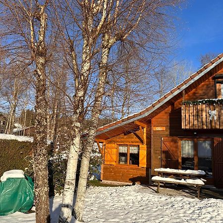 זונרופט-לונז'מר Chalet Chloe - Wifi, Bbq, Parking מראה חיצוני תמונה